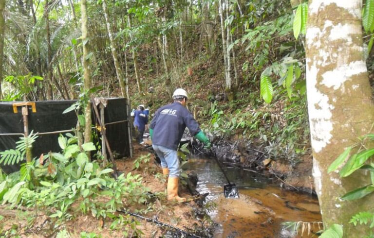 hg_0000_mega-ambientales