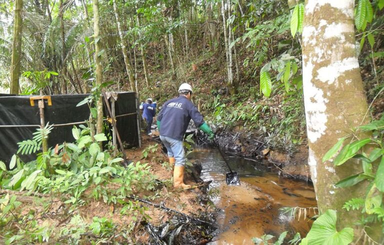 hg_0001_mega-ambientales-01