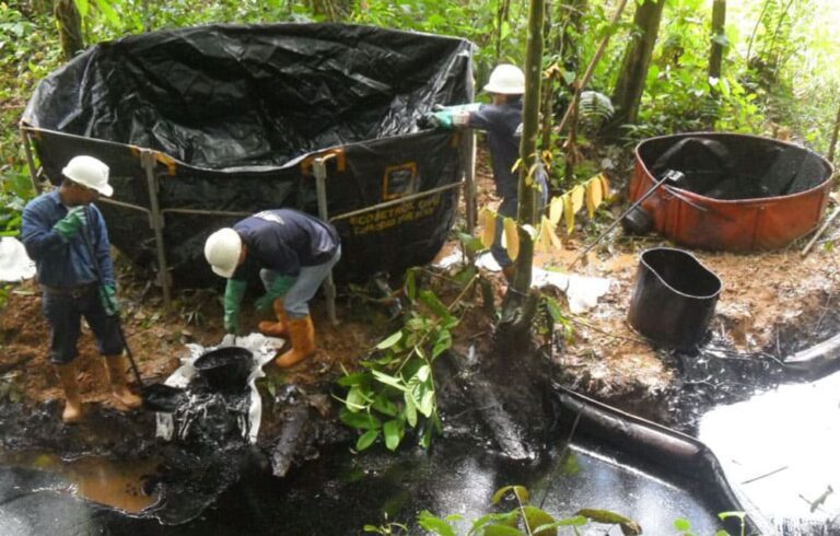 hg_0002_ambiental-home