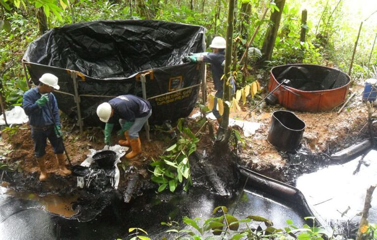 hg_0003_mega-ambientales-03