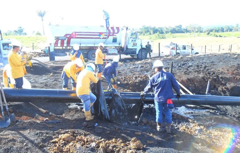 hg_0010_Biorecuperacion