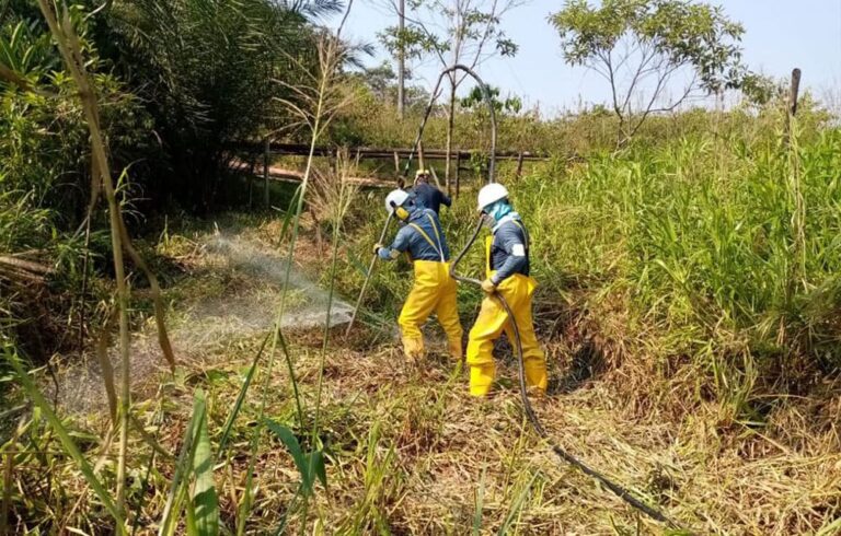 _recuperacion_ambiental